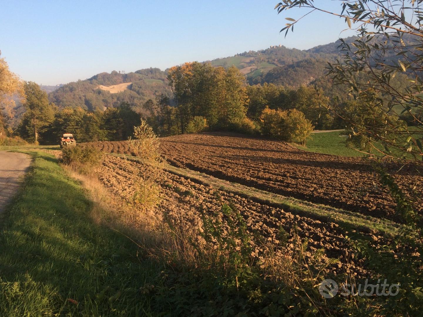 Terreno agricolo pianeggiante e piccolo bosco - Vista 2