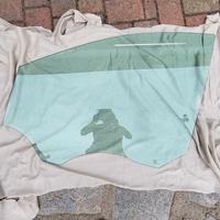 Ford Kuga II Vetro Finestrino sinistro anteriore