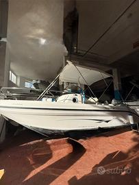 Ranieri Shadow 19 + Honda BF 40 E