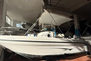 Ranieri Shadow 19 + Honda BF 40 E