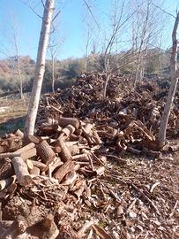 Legna e legname da ardere