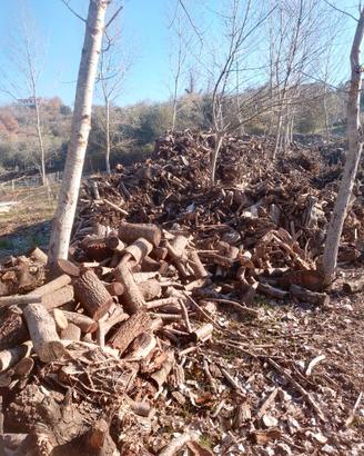 Legna e legname da ardere