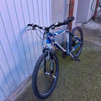 Mtb grandis