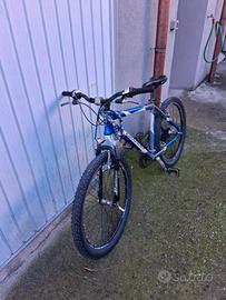 Mtb grandis