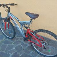 mountain bike