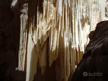 Honda sh125 mode 2015