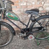 motorino Bianchi Aquilotto