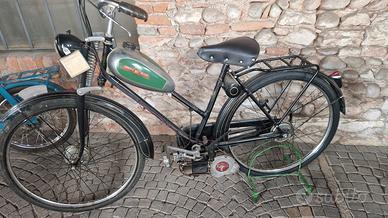 motorino Bianchi Aquilotto