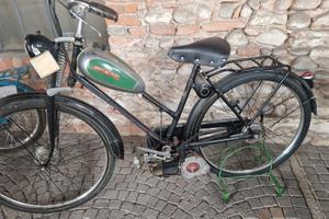 motorino Bianchi Aquilotto