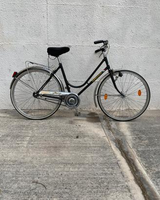 Bici adulto ruote 26