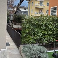 più di 15 vasi con siepe di gelsomino prevalente