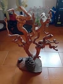 Radice del fiume Ticino 