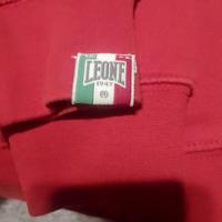 felpa leone per anni 10