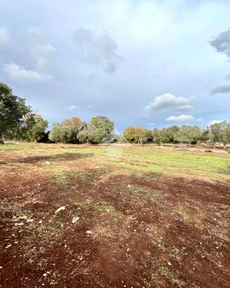 TER. AGRICOLO A CEGLIE MESSAPICA