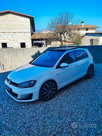 Volkswagen Golf Gti 2.0 Tsi 230 cv Performance 