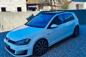 Volkswagen Golf Gti 2.0 Tsi 230 cv Performance 