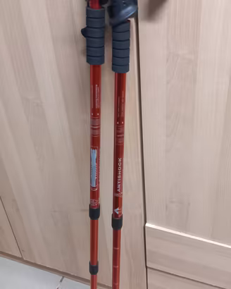 bastoncini trekking 