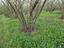 Immagine 29