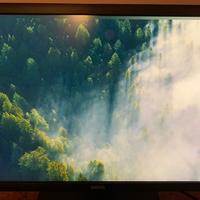 Benq Monitor 1440P