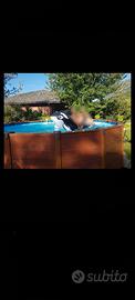 Piscina fuori terra marca Intex modello sequoia.