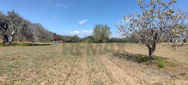 Terreno - Caltagirone