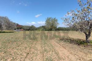 Terreno - Caltagirone