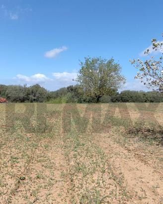 Terreno - Caltagirone