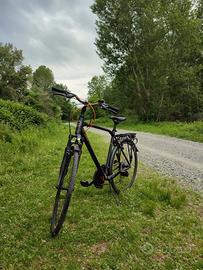 Bicicletta uomo Torpado