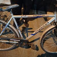 Bicicletta Esperia 6900