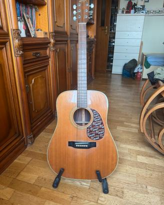 Chitarra acustica dreadnought Sigma DR-2