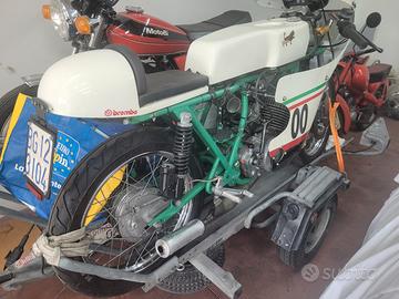 Benelli 250