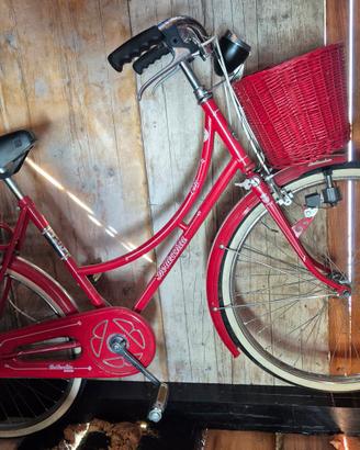 bicicletta bottecchia