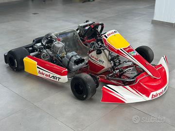 Gokart birelart s12 k9c