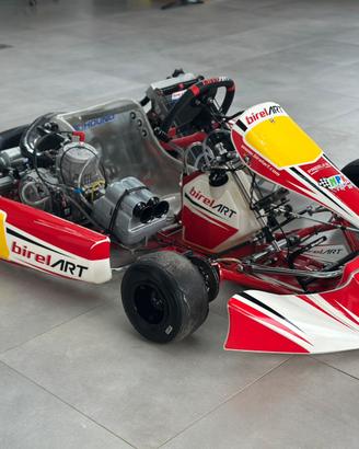 Gokart birelart s12 k9c