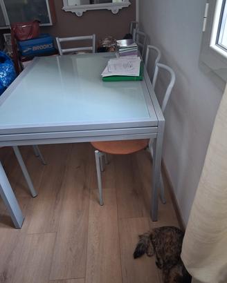 tavolo vetro temperato calligaris