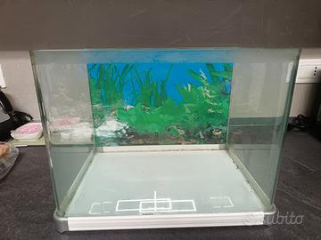 Acquario 25 litri
