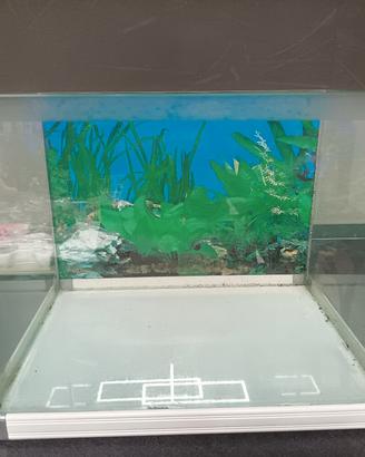 Acquario 25 litri