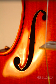 Splendido Strunal 3310/4 Handmade + Arc + Custodia