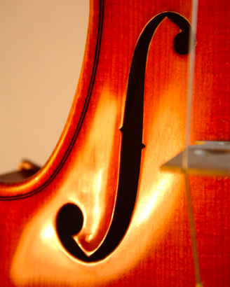 Splendido Strunal 3310/4 Handmade + Arc + Custodia