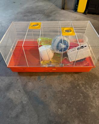 Gabbia criceti con accessori