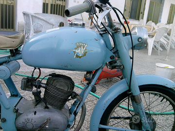 Motorino MV augusta liberty