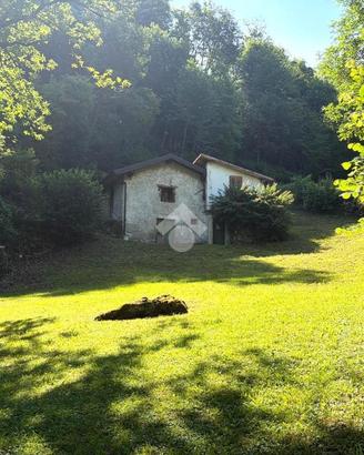 TER. AGRICOLO A BRAONE