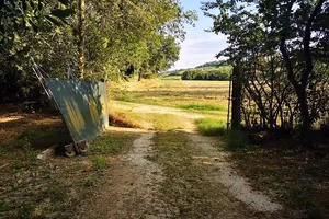 Terreno di 8000 m² a Agugliano