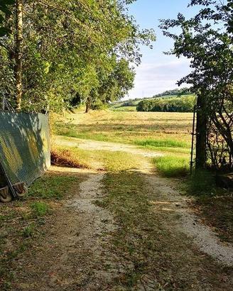 Terreno di 8000 m² a Agugliano