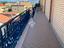 Immagine 11