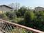 Immagine 15