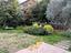 Immagine 11