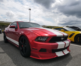 2010 ford mustang