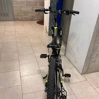 bicicletta