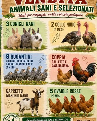 Animali